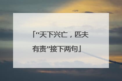 “天下兴亡，匹夫有责”接下两句