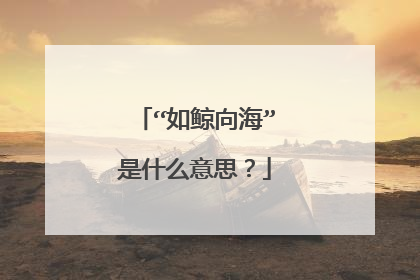 “如鲸向海”是什么意思?