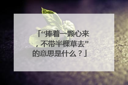 “捧着一颗心来,不带半棵草去”的意思是什么?