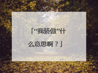 “我骄傲”什么意思啊？
