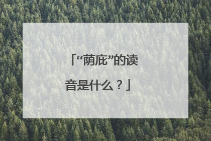 “荫庇”的读音是什么？