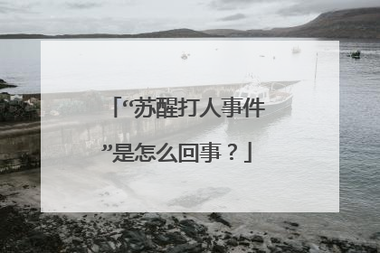 “苏醒打人事件”是怎么回事？