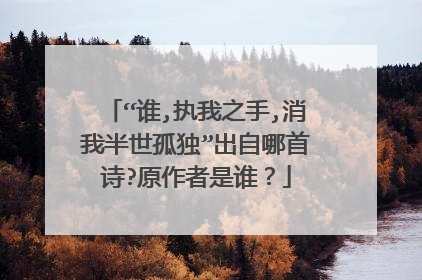 “谁,执我之手,消我半世孤独”出自哪首诗?原作者是谁？