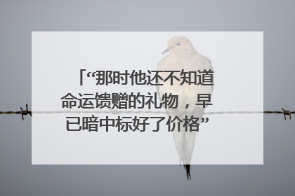 “那时他还不知道命运馈赠的礼物，早已暗中标好了价格”这句话是出自于茨威格的哪本书？