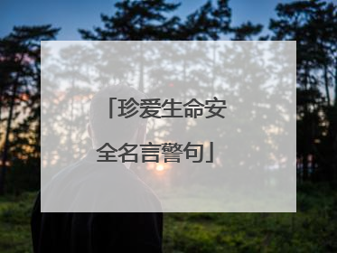 珍爱生命安全名言警句