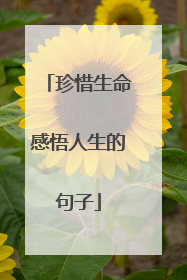 珍惜生命感悟人生的句子