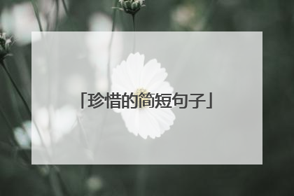 珍惜的简短句子