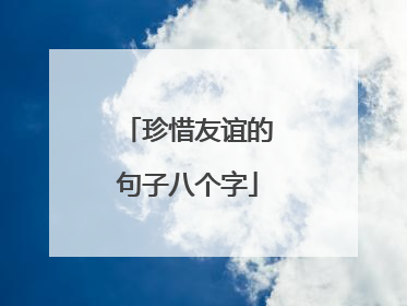 珍惜友谊的句子八个字