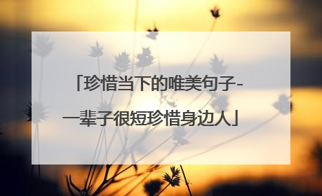 珍惜当下的唯美句子-一辈子很短珍惜身边人