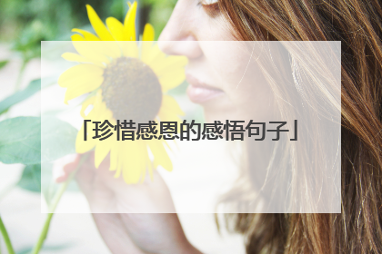 珍惜感恩的感悟句子