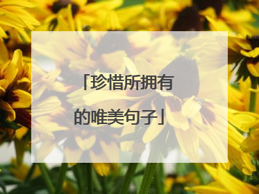 珍惜所拥有的唯美句子