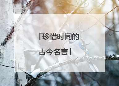 珍惜时间的古今名言