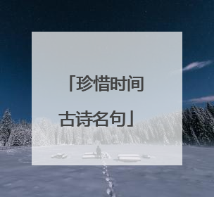 珍惜时间古诗名句