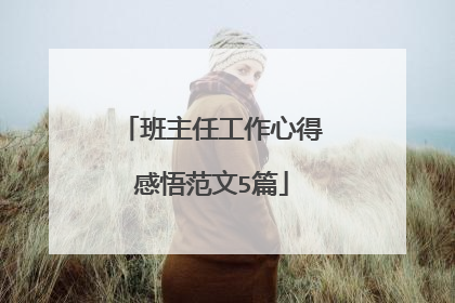 班主任工作心得感悟范文5篇
