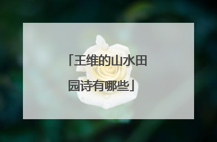 王维的山水田园诗有哪些