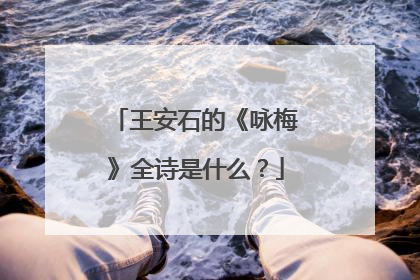 王安石的《咏梅》全诗是什么？