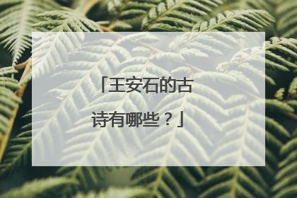 王安石的古诗有哪些?