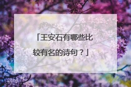 王安石有哪些比较有名的诗句?