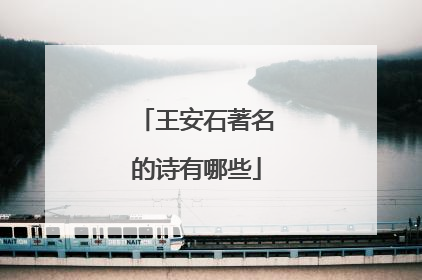 王安石著名的诗有哪些