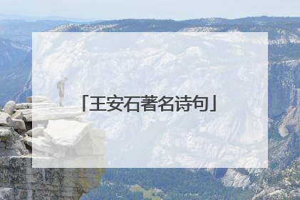 王安石著名诗句
