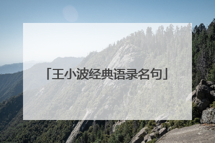 王小波经典语录名句