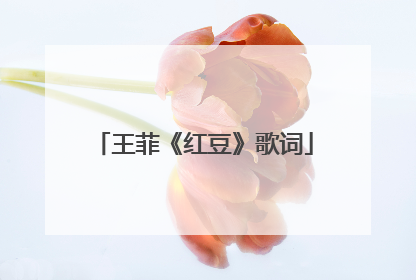 王菲《红豆》歌词