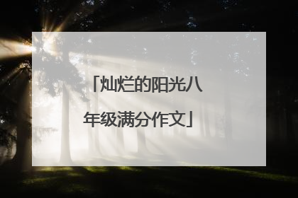 灿烂的阳光八年级满分作文