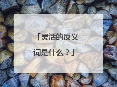 灵活的反义词是什么?