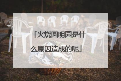 火烧圆明园是什么原因造成的呢