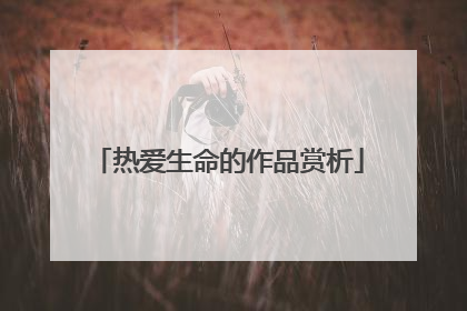 热爱生命的作品赏析