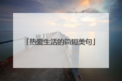 热爱生活的简短美句