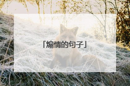 煽情的句子