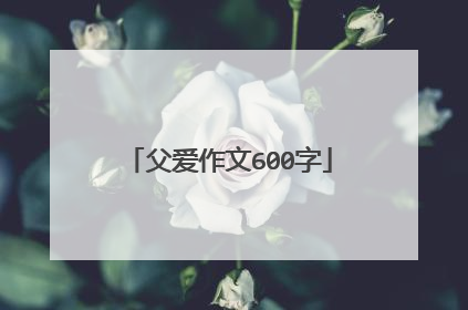 父爱作文600字