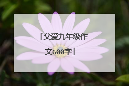 父爱九年级作文600字