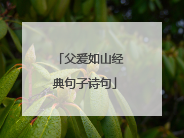 父爱如山经典句子诗句