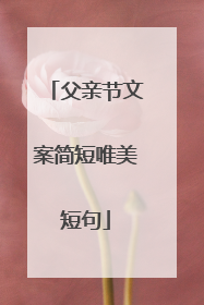 父亲节文案简短唯美短句