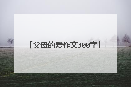 父母的爱作文300字