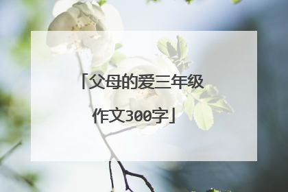 父母的爱三年级作文300字