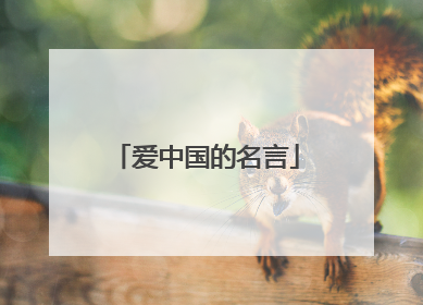 爱中国的名言
