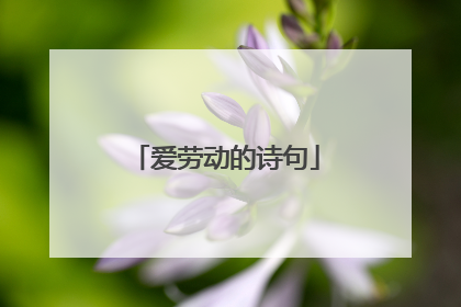 爱劳动的诗句