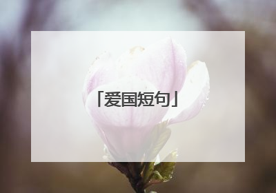 爱国短句