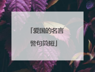 爱国的名言警句简短