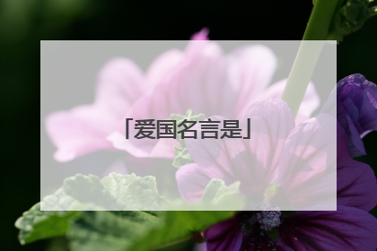 爱国名言是