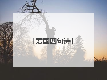 爱国四句诗
