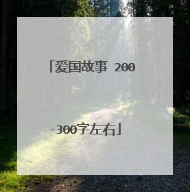 爱国故事 200-300字左右