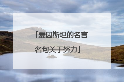 爱因斯坦的名言名句关于努力