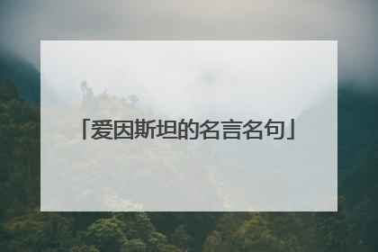 爱因斯坦的名言名句