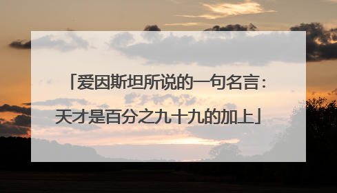 爱因斯坦所说的一句名言:天才是百分之九十九的加上
