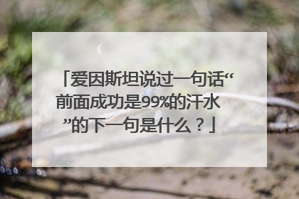 爱因斯坦说过一句话“前面成功是99%的汗水”的下一句是什么？