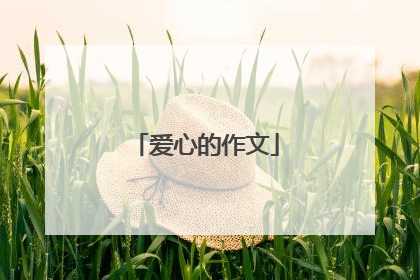 爱心的作文